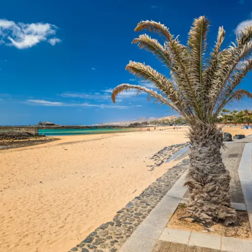 iStock-2186868277la guirra_result